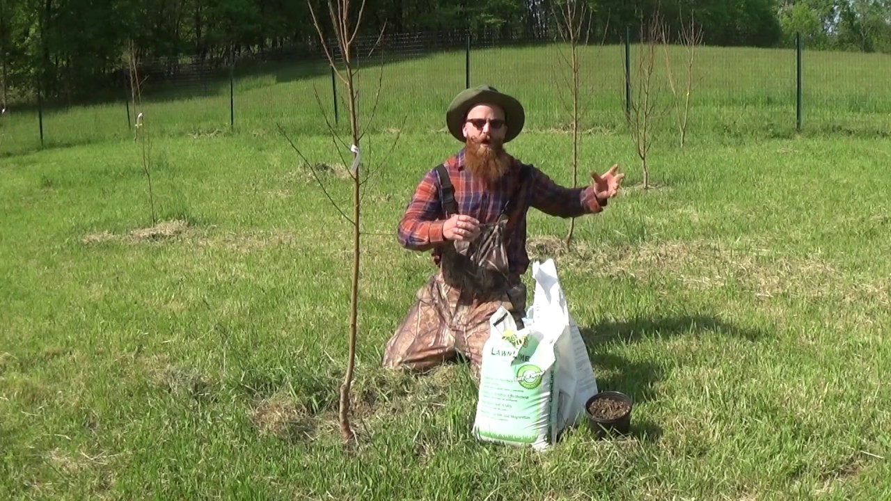 Why Do We Add Lime to the Soil? What Causes Soil Acidity? How Does Lime Work in the Soil?