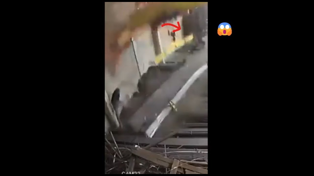 Tiger FAIL des Monats - Januar 26 - Auf Biegen und Brechen..😱