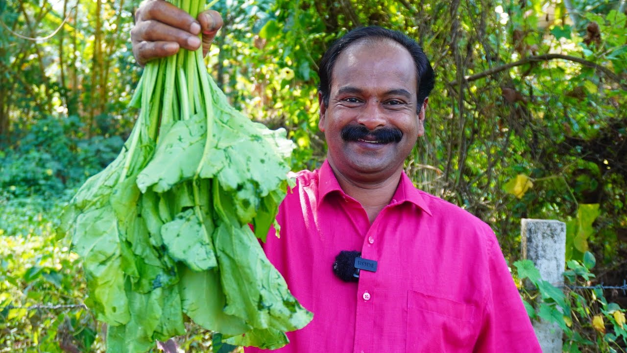 പാലക്കും പരിപ്പും കൊണ്ട് ഒരു കിടിലൻ നാടൻ കറി 😋👌💯 | Palak Curry | Keralastyle