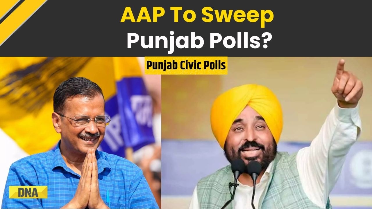 Punjab News: AAP Leads Punjab Civic Body Polls, Nears 800 Wards Across The State | Bhagwant Mann