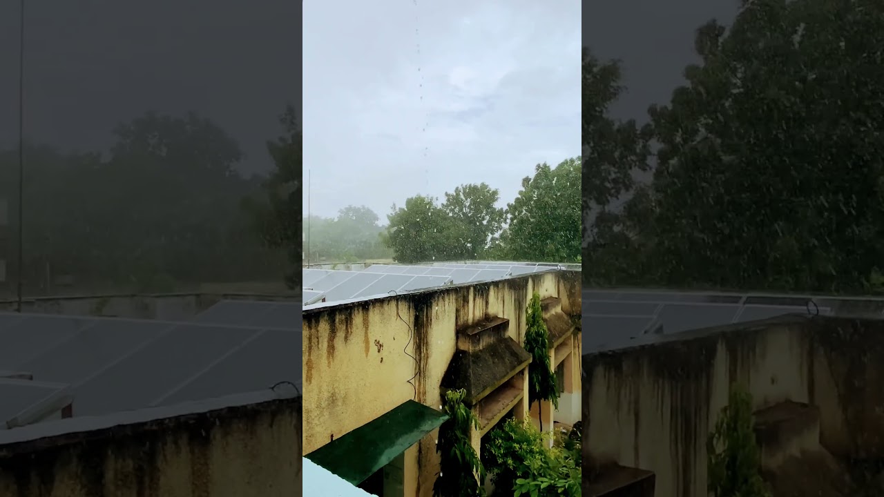 #rain #green #monsoon #happiness #fun #song #love #arijitsingh #botad #nature #bollywood #gujarat