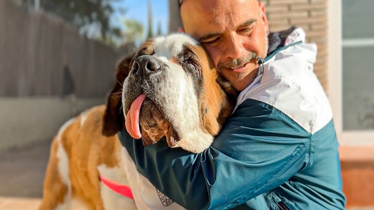 Solo quería cariño… pero fue maltratada y abandonada!