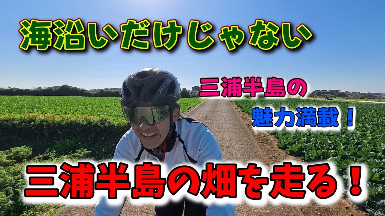 だいこん畑を走る 三浦半島サイクリング！みうイチ以外にも素敵なルートがあるんだよ！