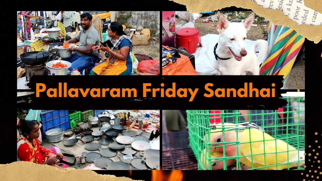 பல்லாவரம் வெள்ளிக்கிழமை சந்தை | Pallavaram Friday Market | Pallavaram Sandhai | Chennai Market | SNI