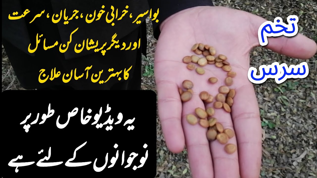 Tukhm e sars ke fayde | bawaseer ka garelo ilaj by sajid farooqi | تخم سرس کے فائدے | تخم سرس/شریں