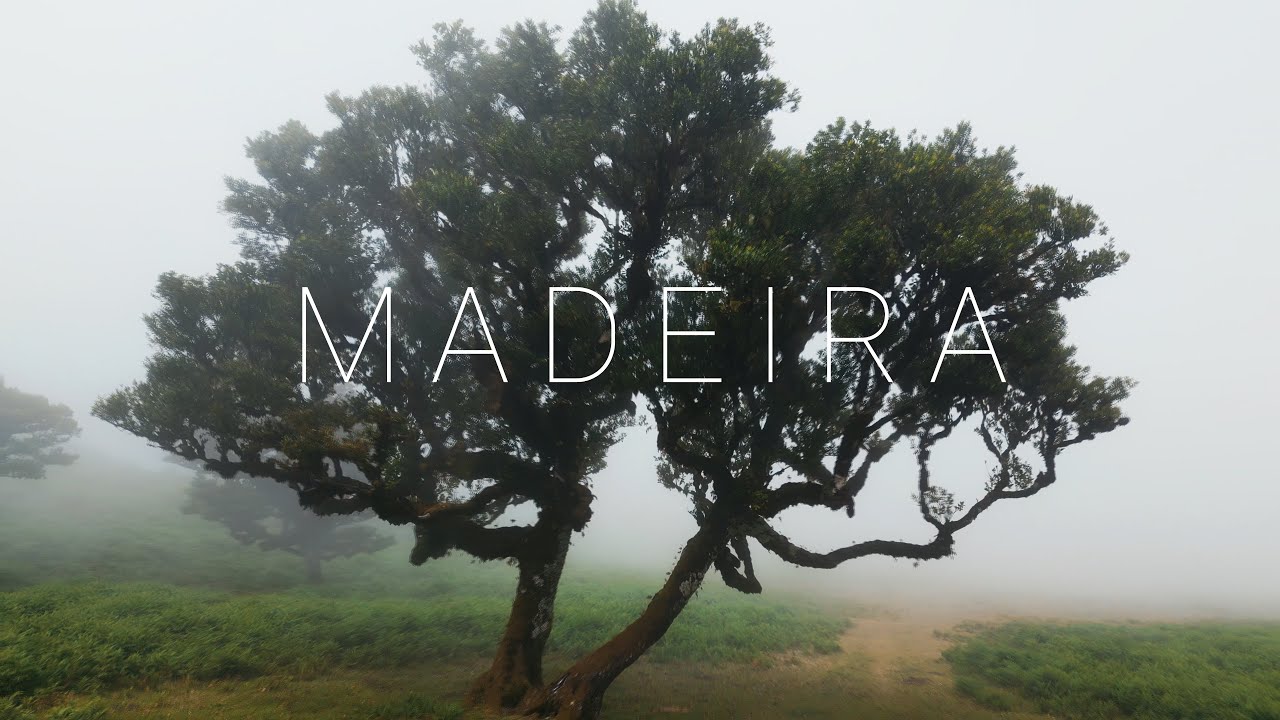 Locations by Logan  |  Madeira