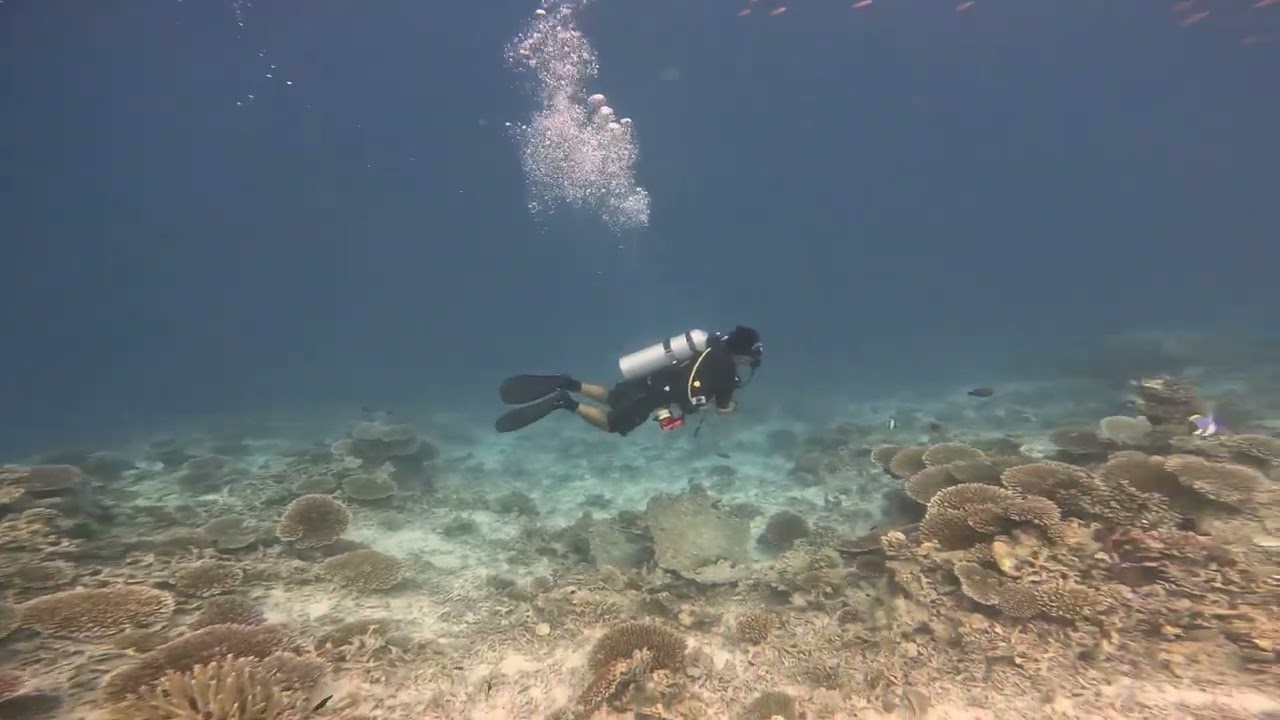 Diving around Machchafushi