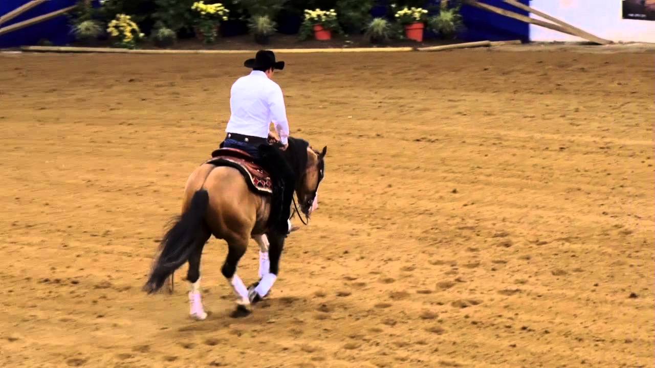 Gunner Dun It Again ridden by Joao Felipe Lacerda - 2015 NRBC(Open Classic - Finals)