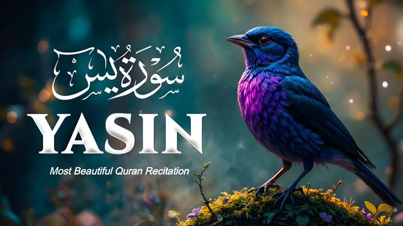 Surah Yaseen Recitation | Deep Peace & Spiritual Calm