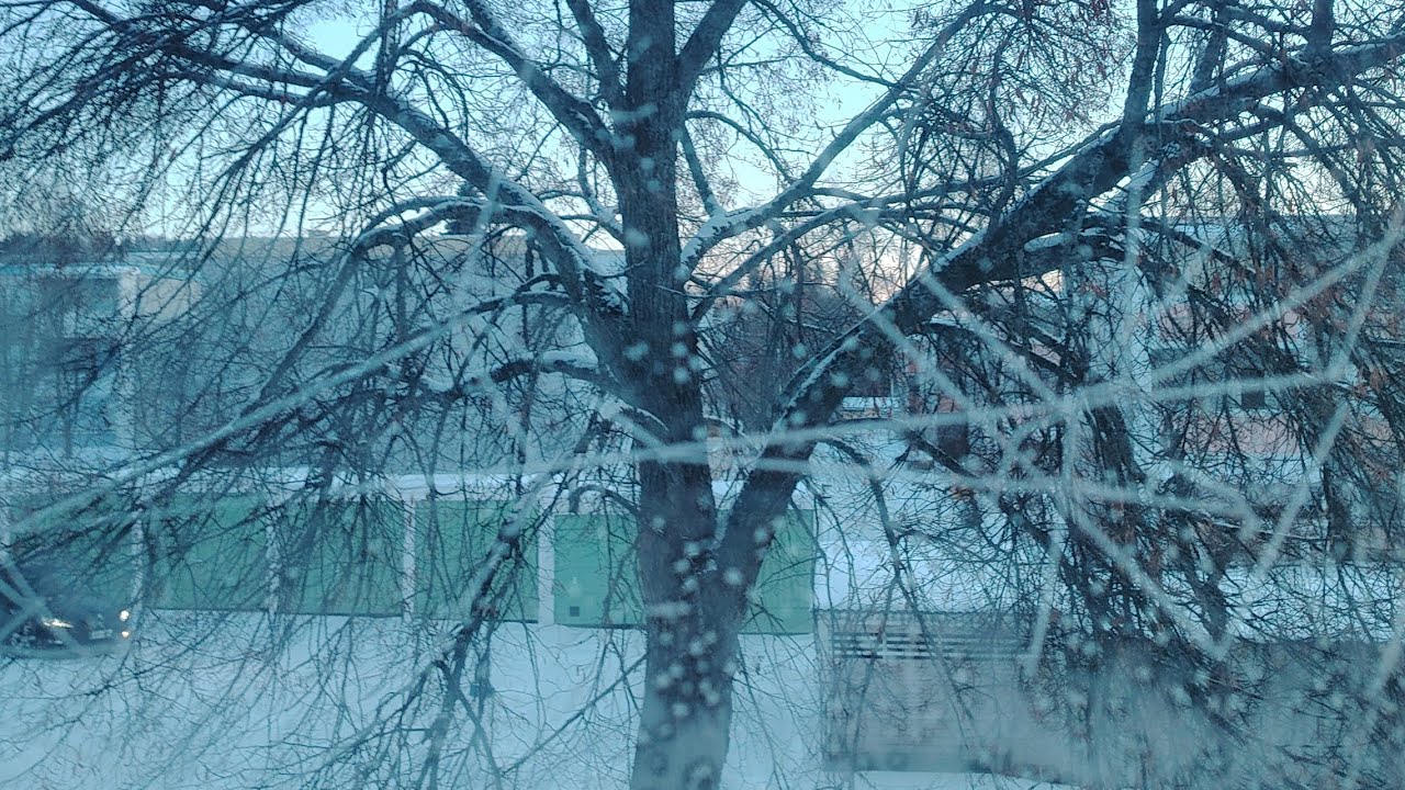 Helmikuun aamukaffet☕Aamusatu ja kalenterijuttuja🩷