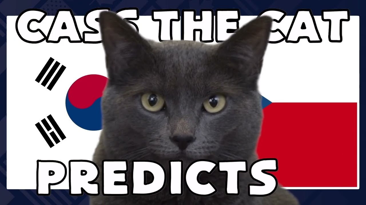 South Korea vs Czech Republic | 2026 FIFA World Cup Cass the Cat 🐾 Prediction
