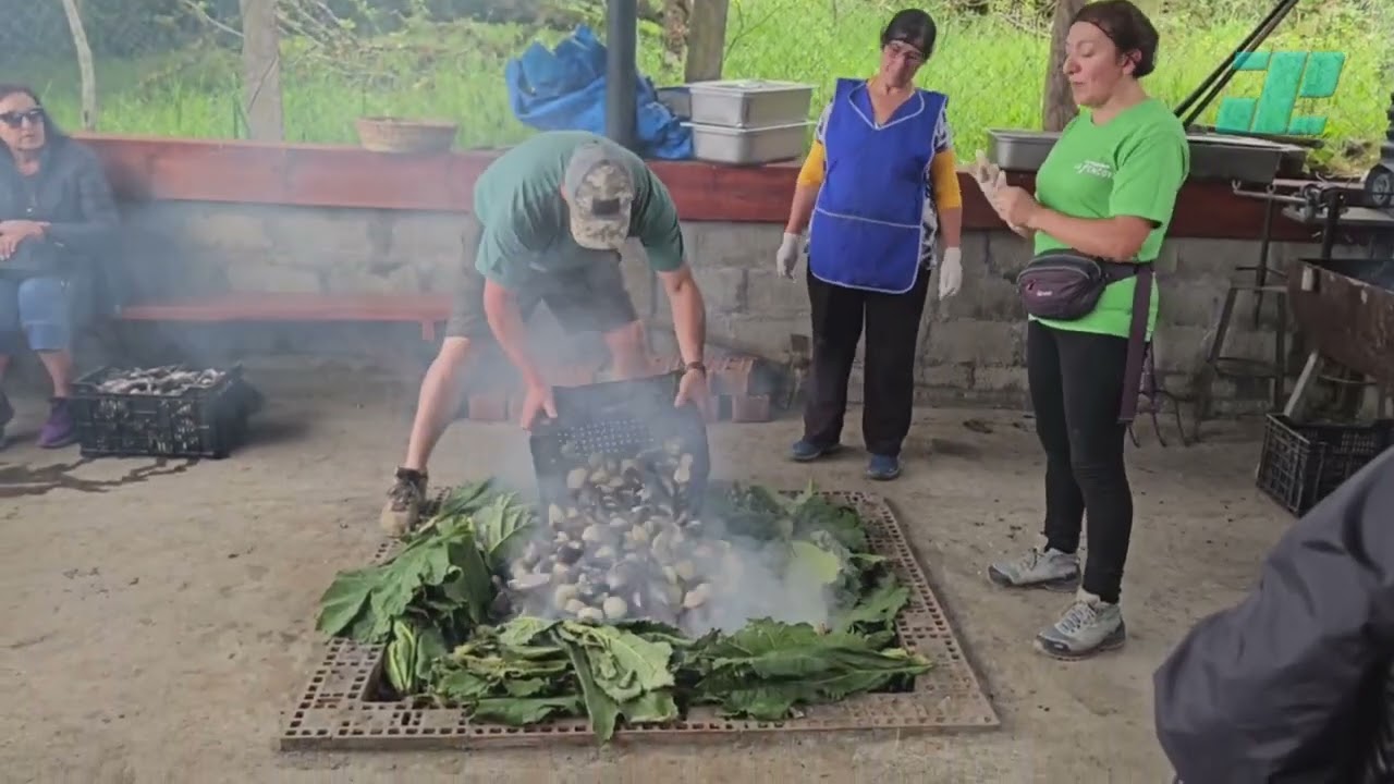 Viaje Chiloé, verano 2024