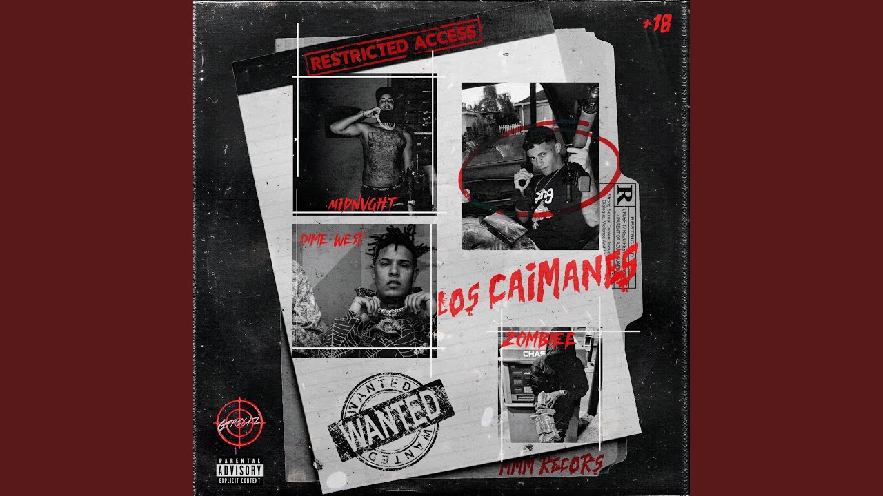 LOS CAIMANES