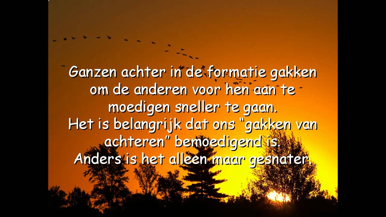 Een les van de ganzen