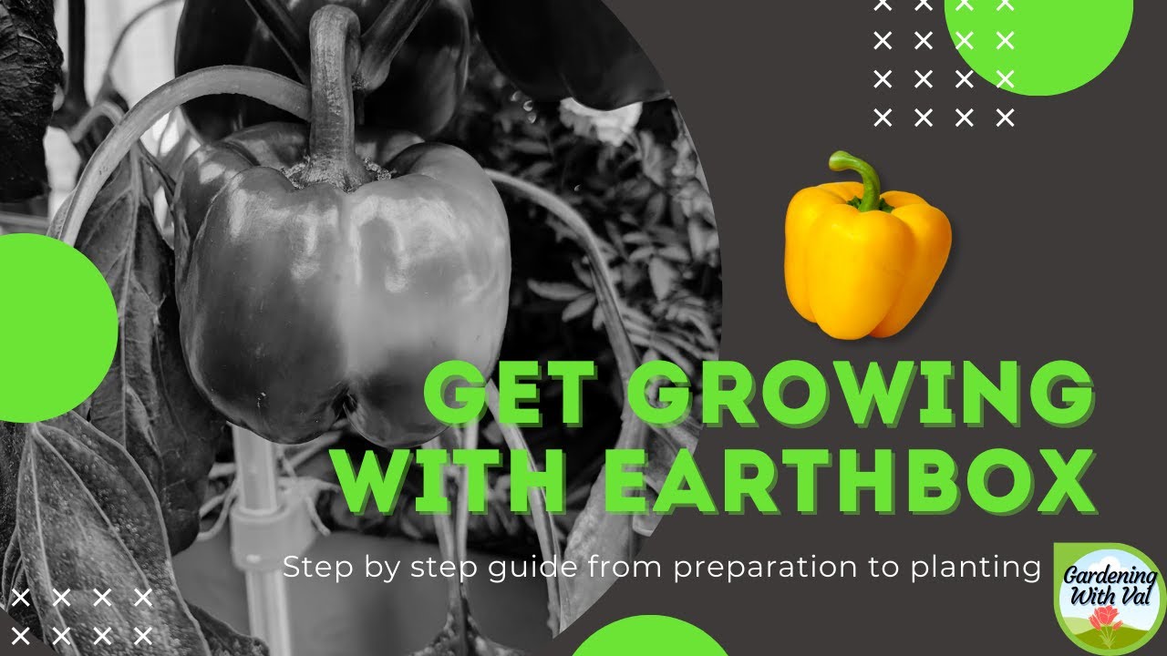 Get Growing with Earthbox
