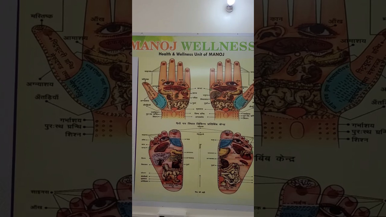 𝐊𝐚𝐧𝐬𝐚 𝐓𝐡𝐚𝐥𝐢 𝐀𝐲𝐮𝐫𝐯𝐞𝐝𝐢𝐜 𝐌𝐚𝐬𝐬𝐚𝐠𝐞 𝐓𝐡𝐞𝐫𝐚𝐩𝐲 𝐌𝐚𝐜𝐡𝐢𝐧𝐞 𝐒𝐩𝐚 𝐊𝐚𝐧𝐬𝐚 𝐖𝐚𝐧𝐝 𝐒𝐩𝐫𝐢𝐧𝐠 𝐅𝐢𝐞𝐥𝐝 𝐂𝐨𝐥𝐨𝐧𝐲 𝐅𝐚𝐫𝐢𝐝𝐚𝐛𝐚𝐝 𝐃𝐞𝐥𝐡𝐢 𝐍𝐂𝐑