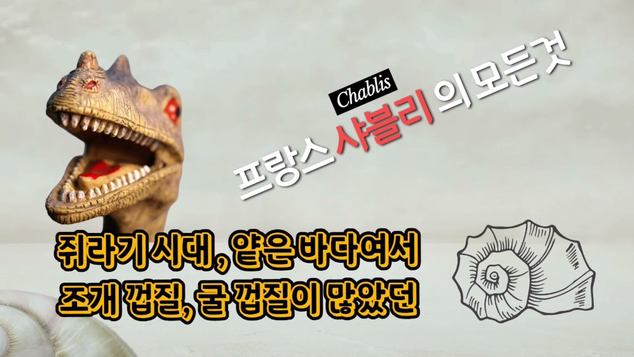 가장 저평가된 프랑스 화이트 와인 | 샤블리의 모든 것