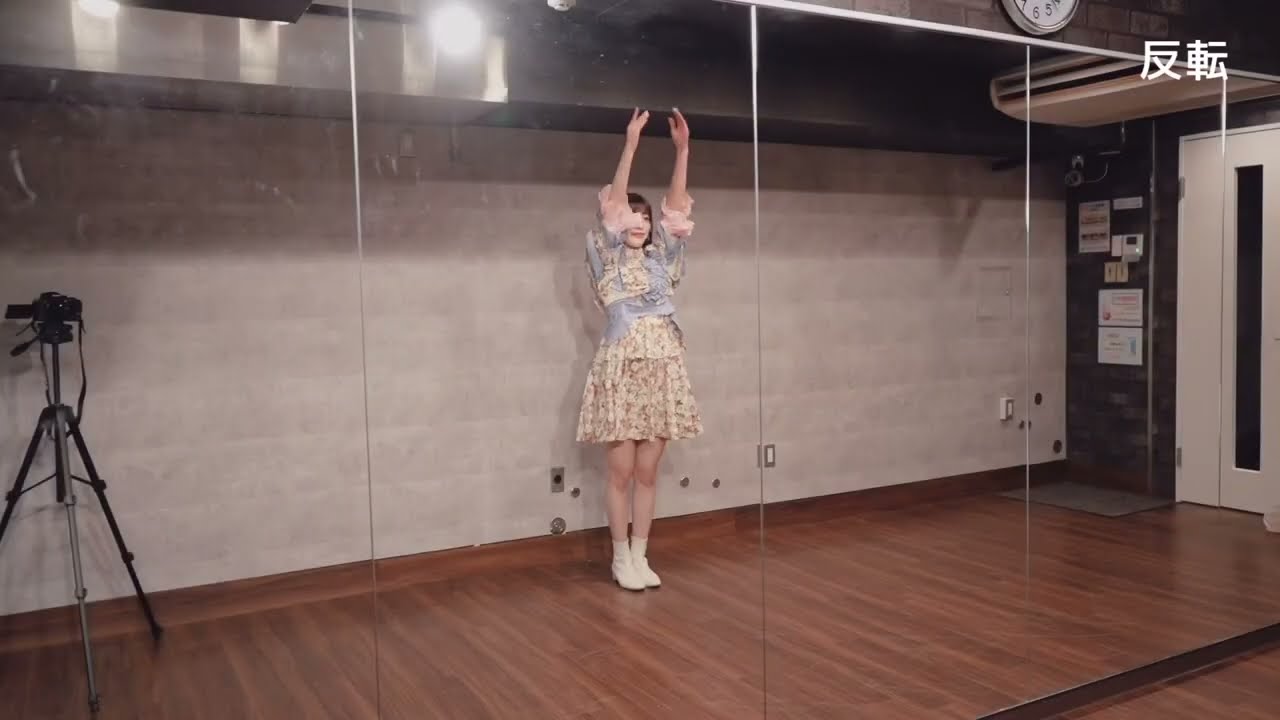 【踊ってみた】乃木坂46『17分間』【反転】