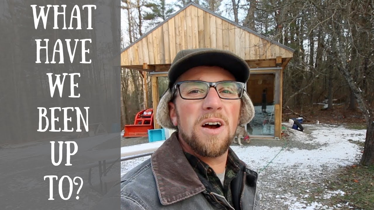 It's that time of the week ALREADY~ Modern Steader Update