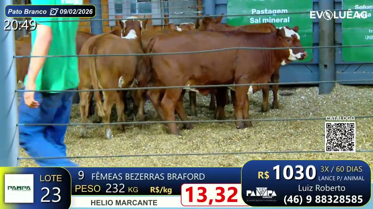 Lote 23 - Pato Branco 09/02/26 | Helio Marcante