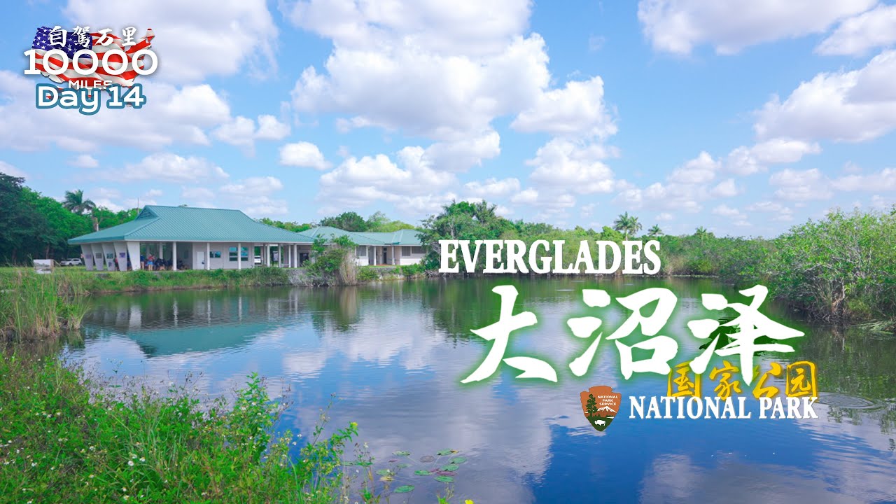 环美自驾一万英里第14天—自驾唯一一座濒危国家公园佛州大沼泽国家公园Everglades national park Florida Day14  Road trip in USA 4K