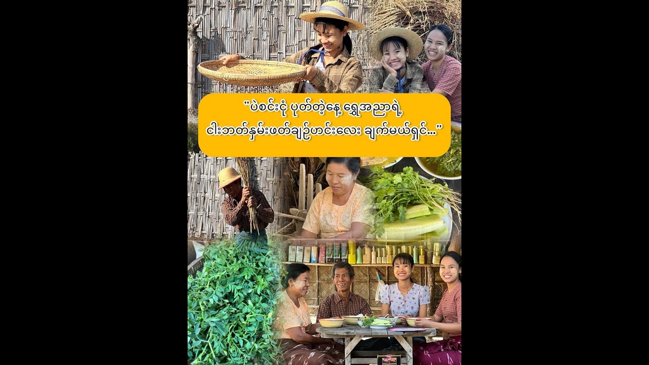 “ပဲစင်းငုံ ပုတ်တဲ့နေ့ ထမင်းမြိန်စေဖို…”