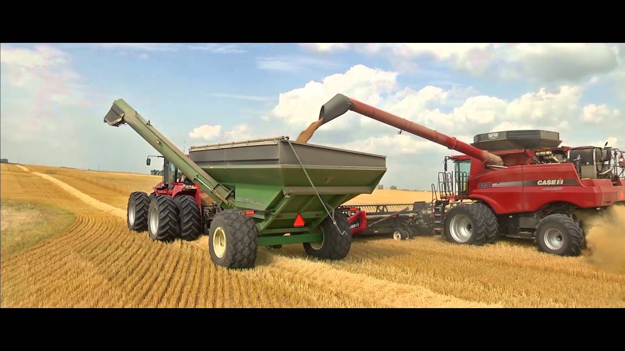 Cosecha de Trigo en Dakota del Norte con Cosechadoras Case IH 8120 & 8230