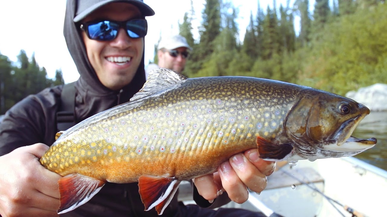 'The Grand Slam' - Manitoba Fly-In Fishing at Bolton Lake Lodge