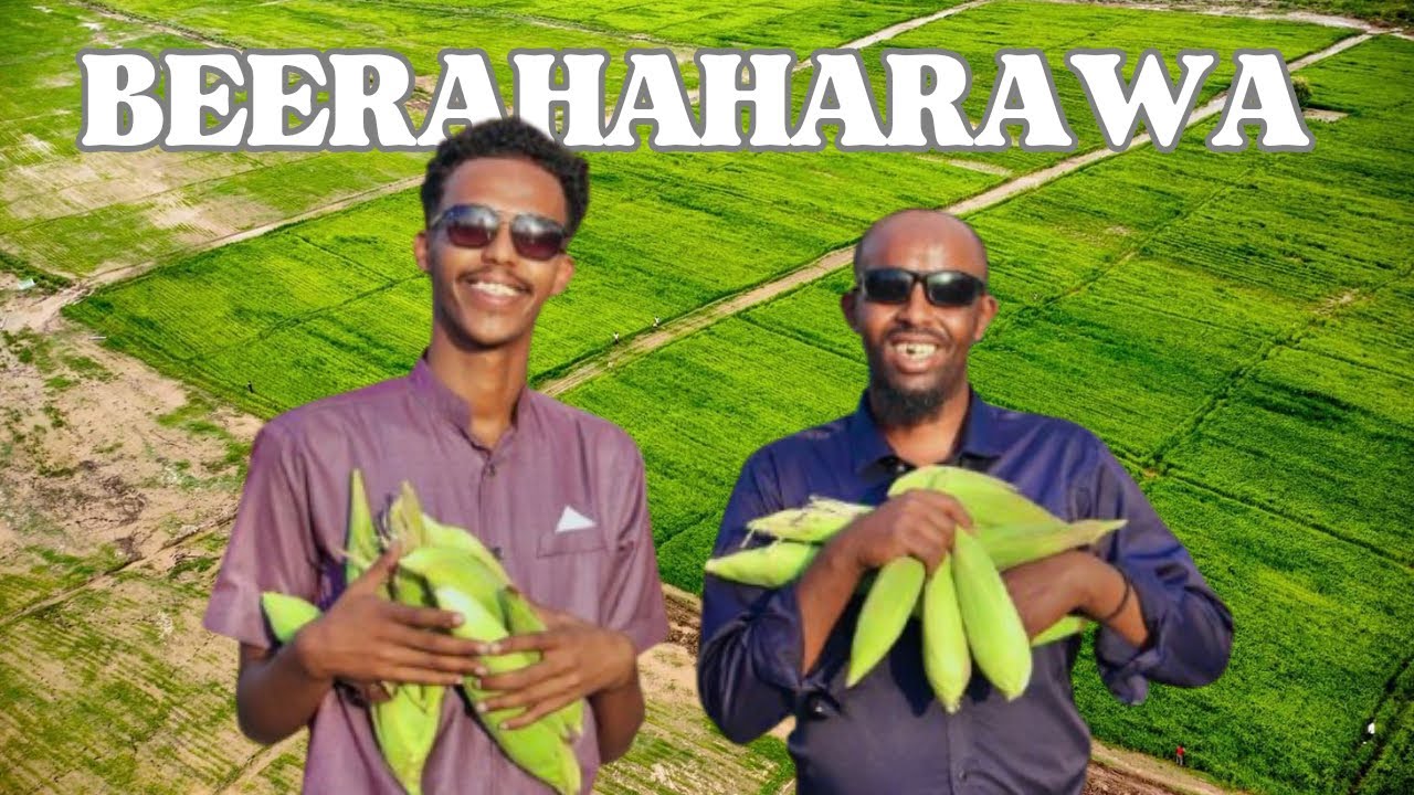 Nolosha Beeraleyda Harawa & Dalxiis Qurux Leh oo ka dhacay Dhulkeena | Vlog