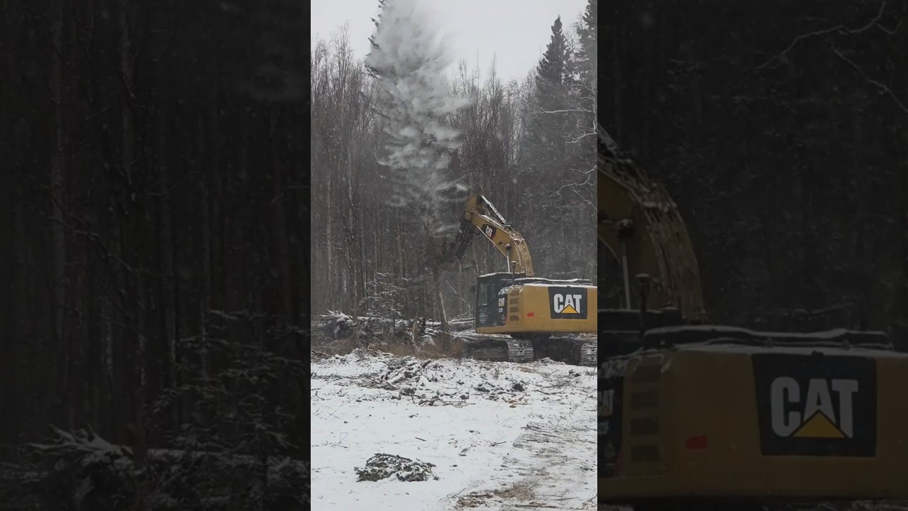 Satisfying Tree Fall