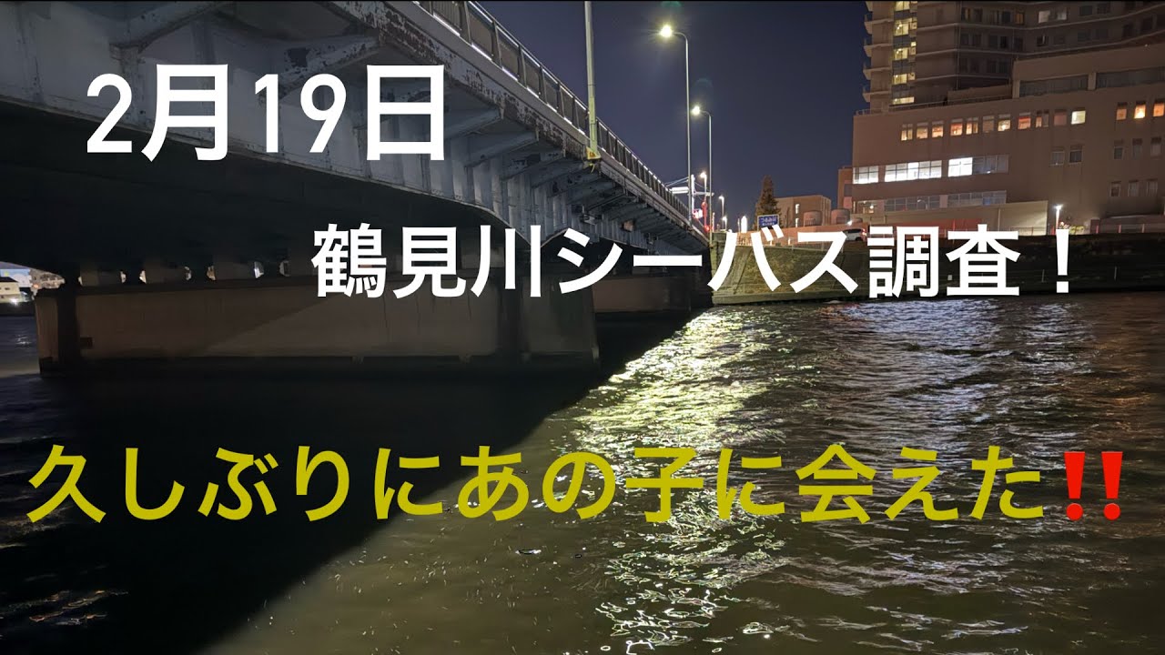 【鶴見川】2月19日鶴見川シーバス調査！