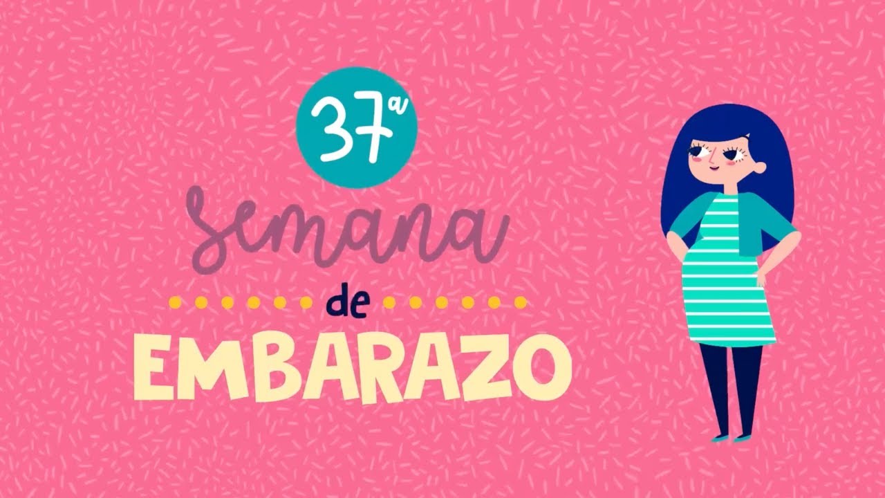 &iexcl;Te presentamos el Dibu 37 del embarazo!