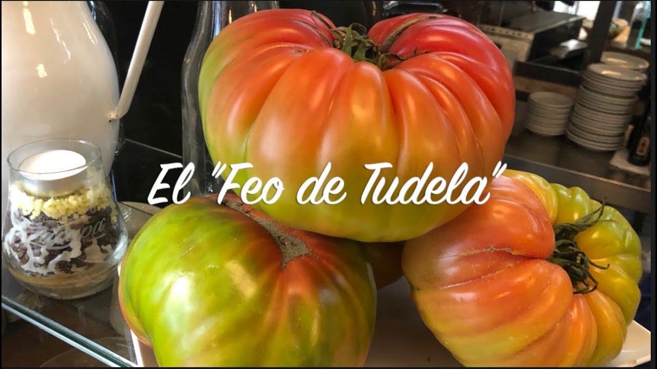 El 