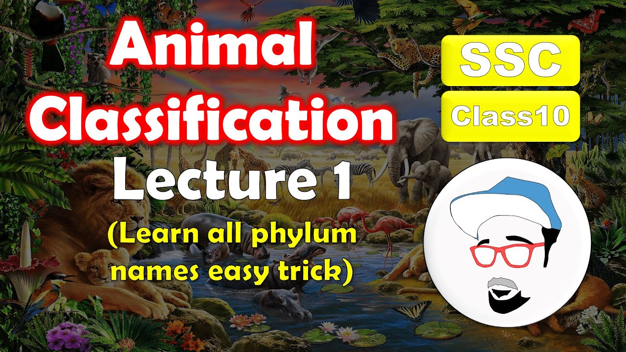 Animal Classification Lecture 1 | Trick to learn Phylum names | Class 10 SSC Maharashtra state board