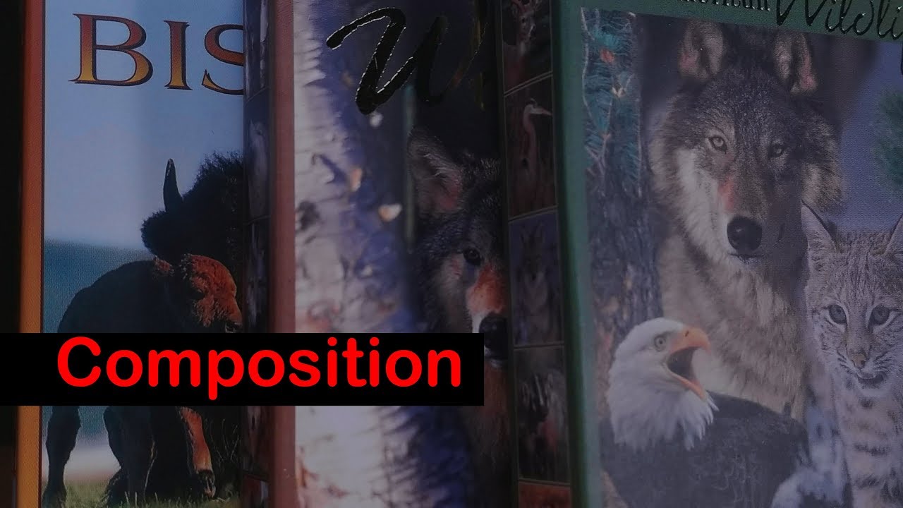 Composition for Beginner Filmmakers!