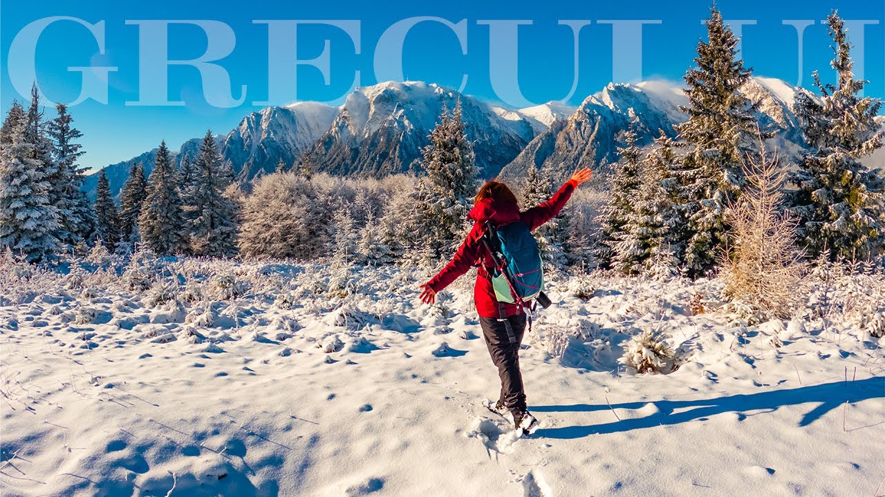 Iarna pe Vârful Grecului | Traseu cu plecare din Azuga