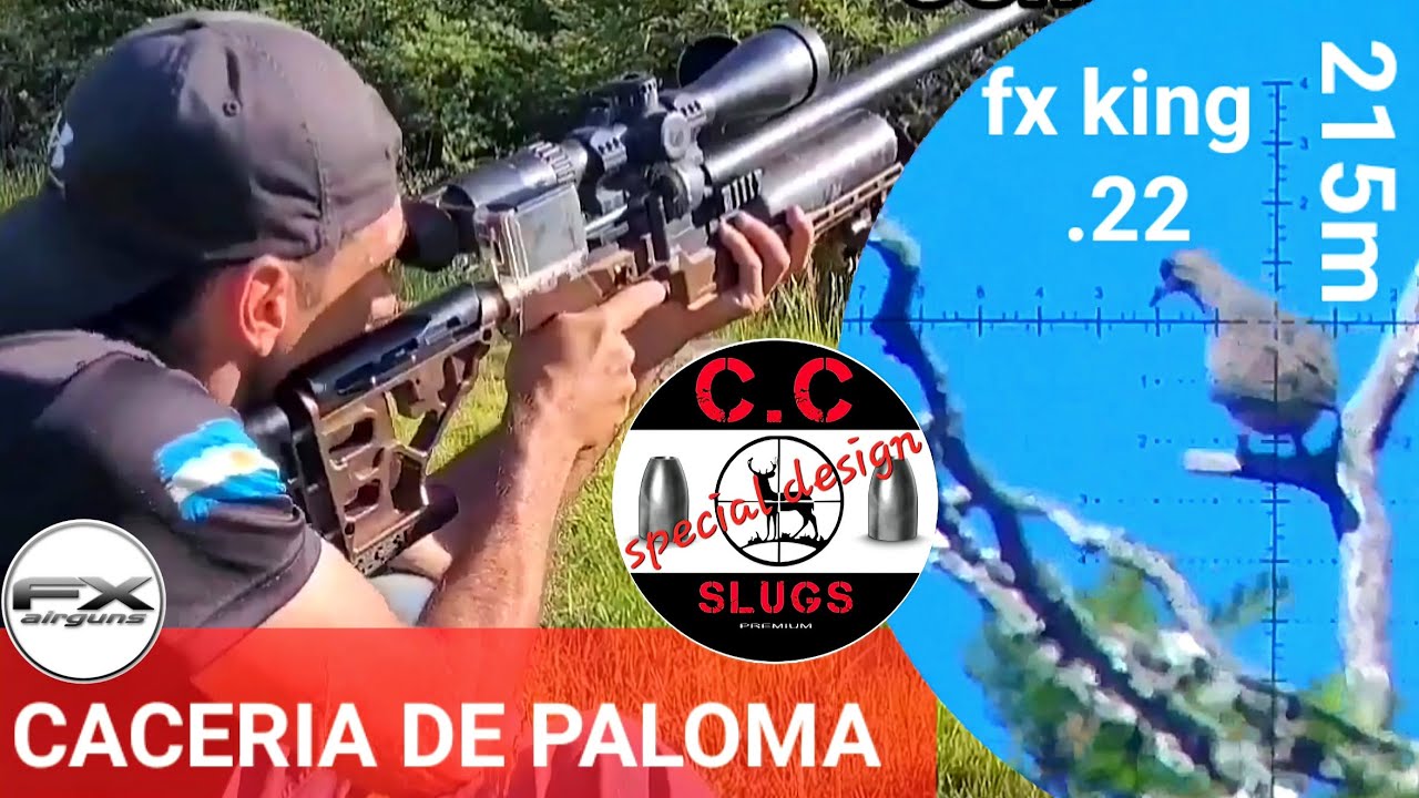 Fx king .22 caceria de paloma Long range c.c slug 30gr