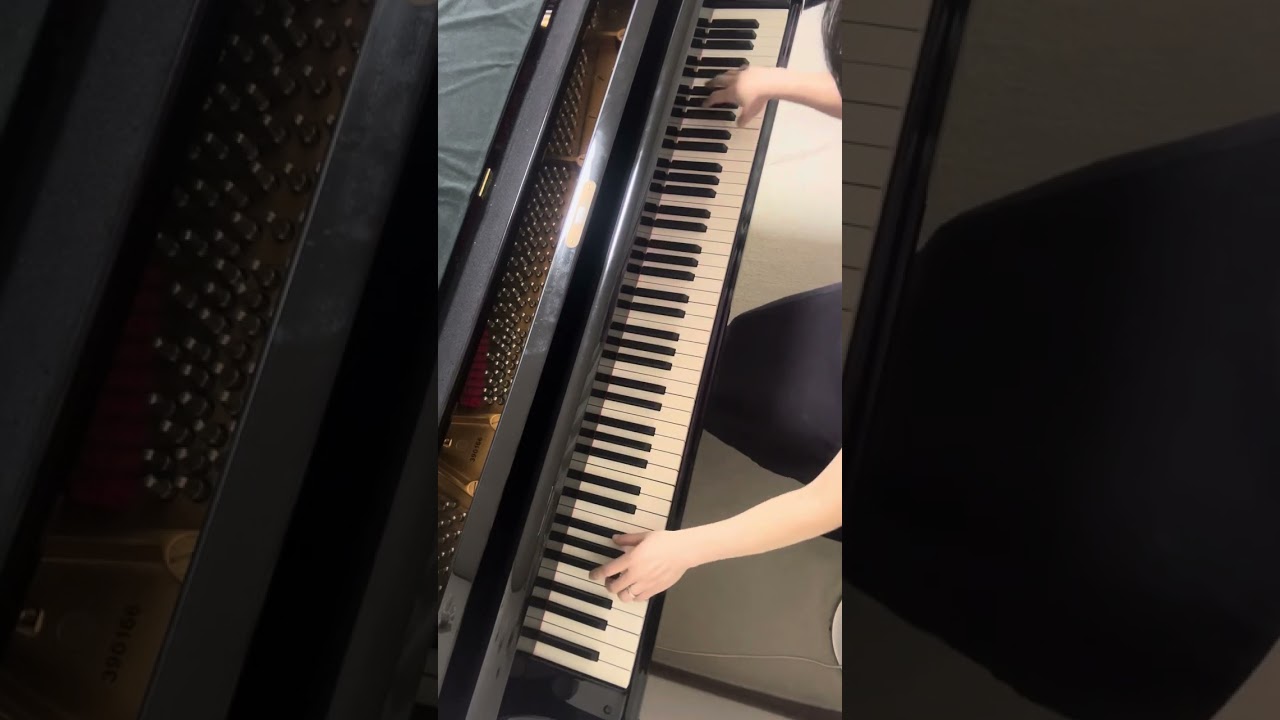 Liszt  Mephisto-Walzer