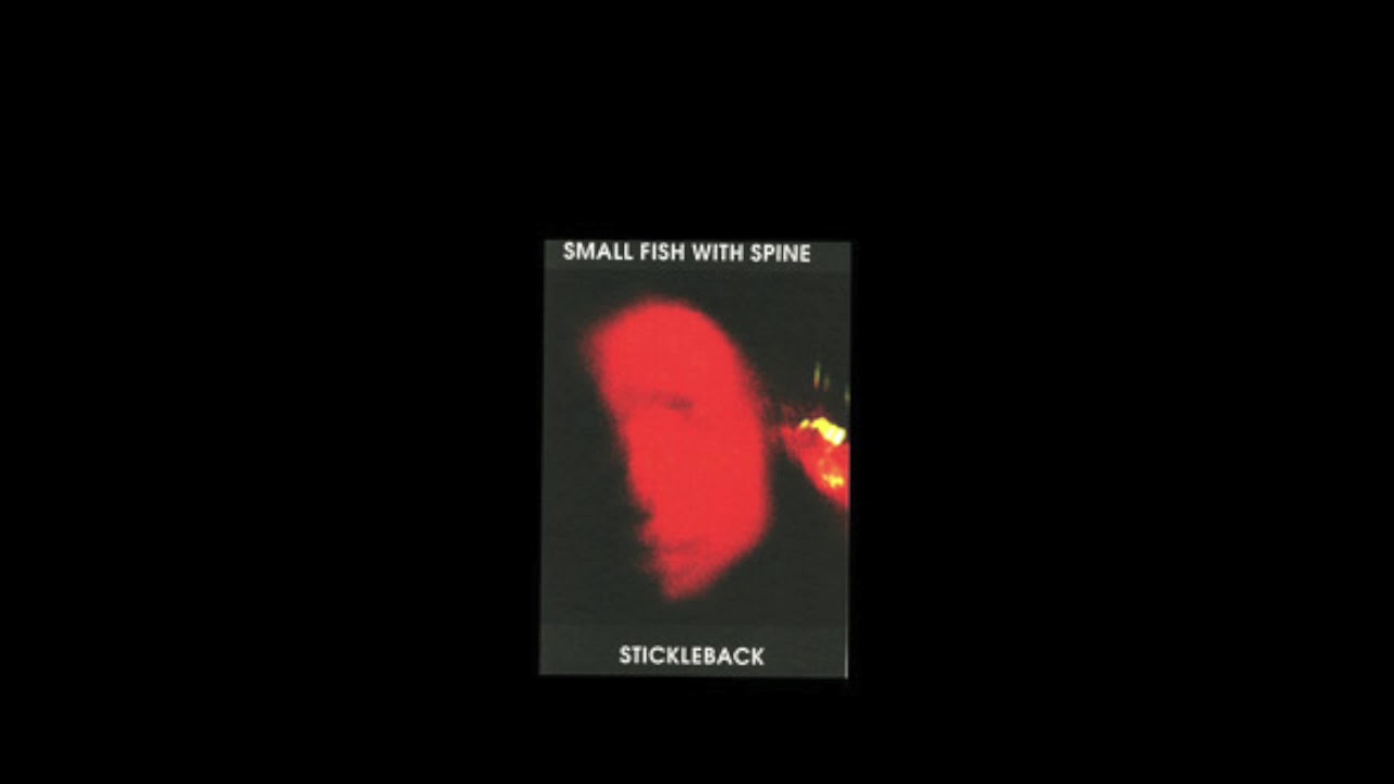 I Hate You - Small Fish with Spine