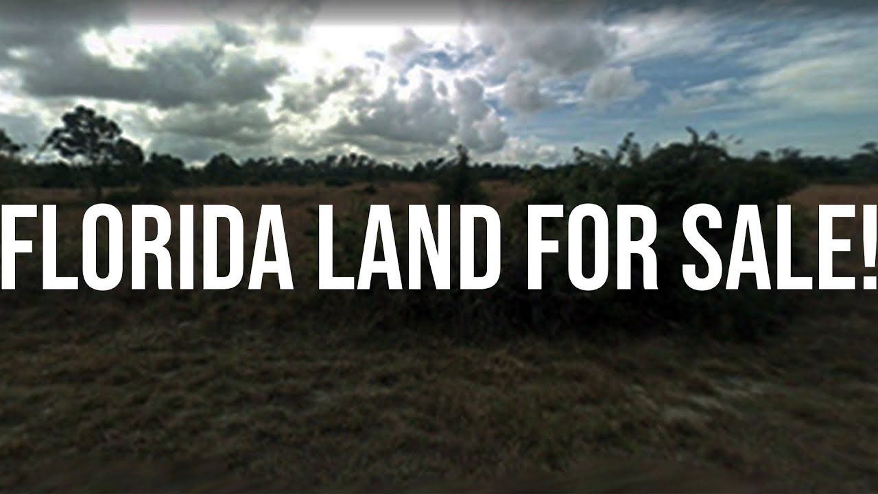 Florida Land for Sale | Owner Financed!