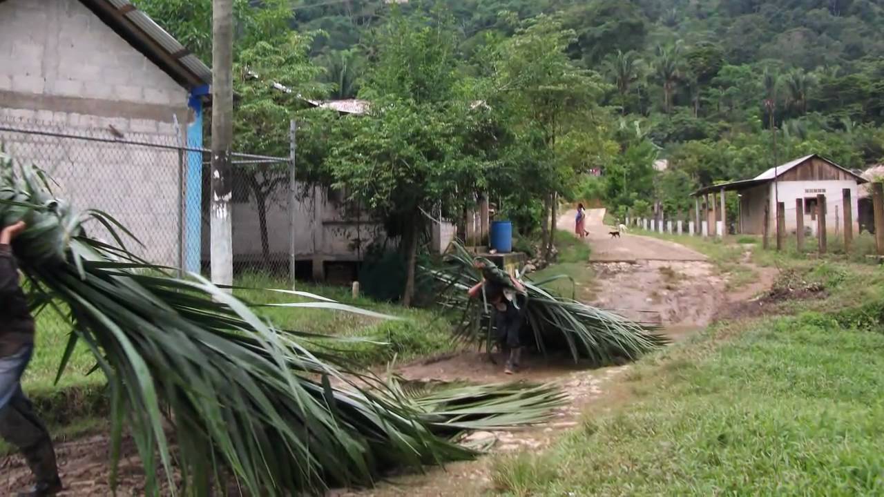 Tepetlampa Tezonapa Veracruz Mx