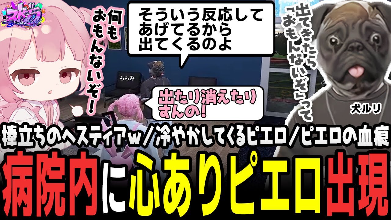 【ストグラ】病院内出現しすぎるピエロ対策を教えてくれる犬ルリｗｗｗ【 #小花衣ももみ / 切り抜き 】