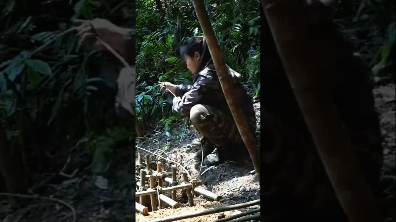 jangle Girl Builds Bamboo Trap to Catch Wild Pig#forestgirl #survivalskills #juelife #survival#viral