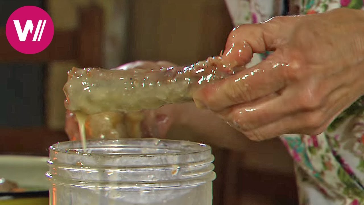 Gascony - Cooking with Duck Fat tastes better | What's cookin'