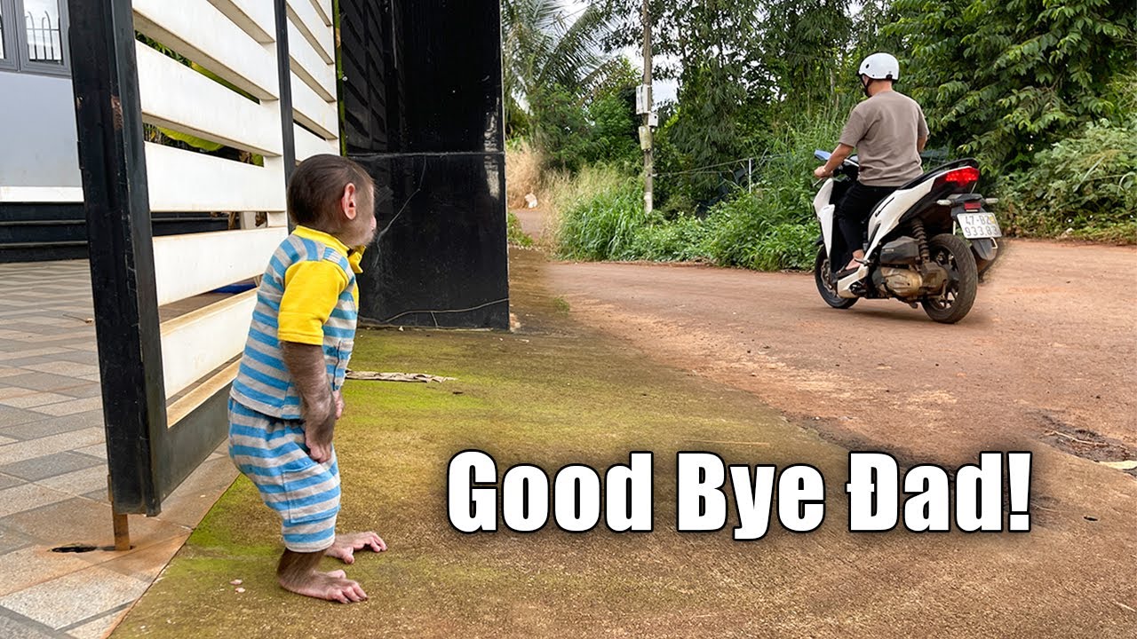 Dad Says Goodbye to Cubis &ndash; On the Way to the Hospital! 😥