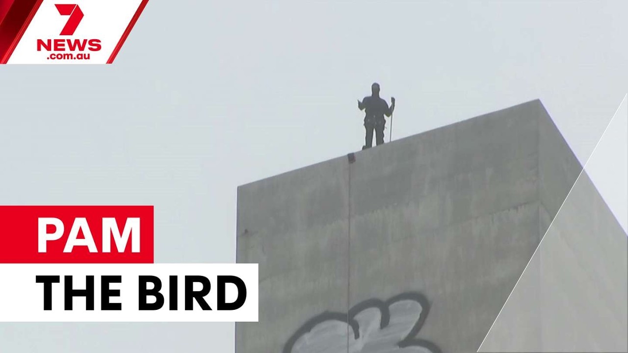 Graffiti vandal's eight-hour Bolte Bridge standoff | 7NEWS