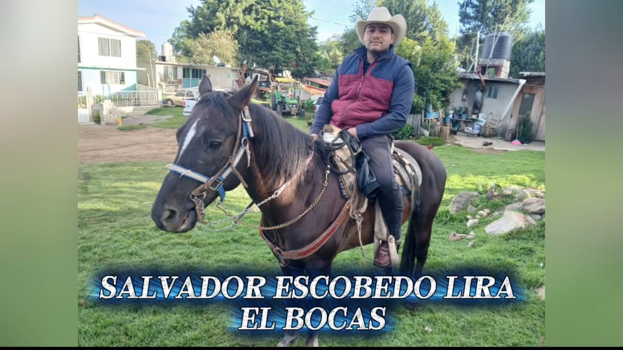 🎼🎧SALVADOR ESCOBEDO LIRA💯 | Corrido tumbado | Vozenda Musical 