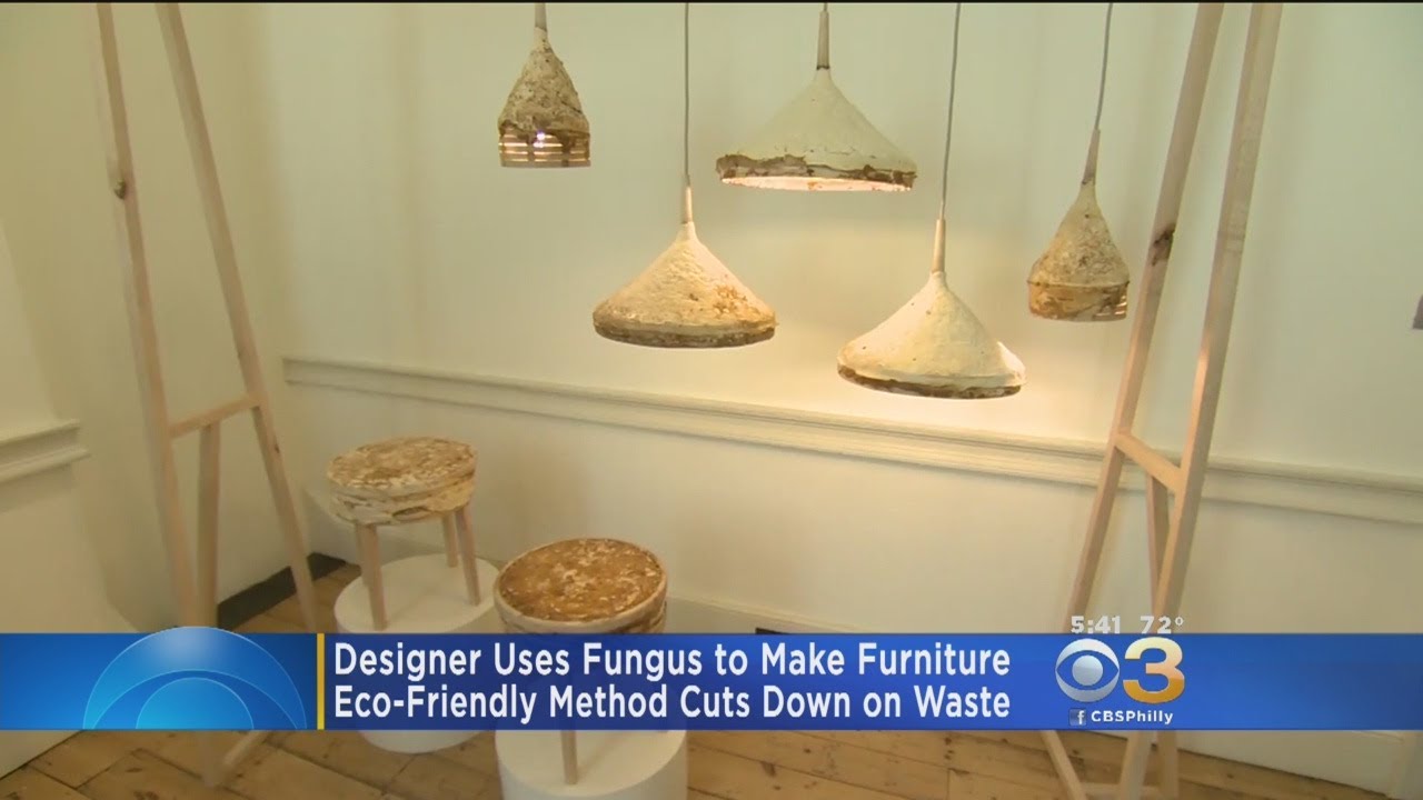 Designer Uses Fungus To Make Furniture