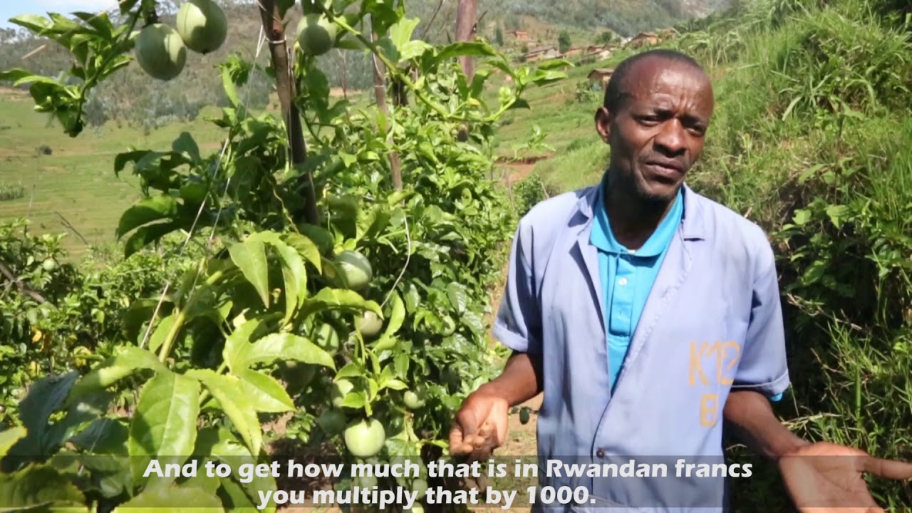 Felician Sebahire reaping big from horticulture farming