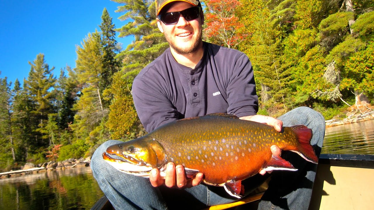 Blue Fox Camp | Ontario